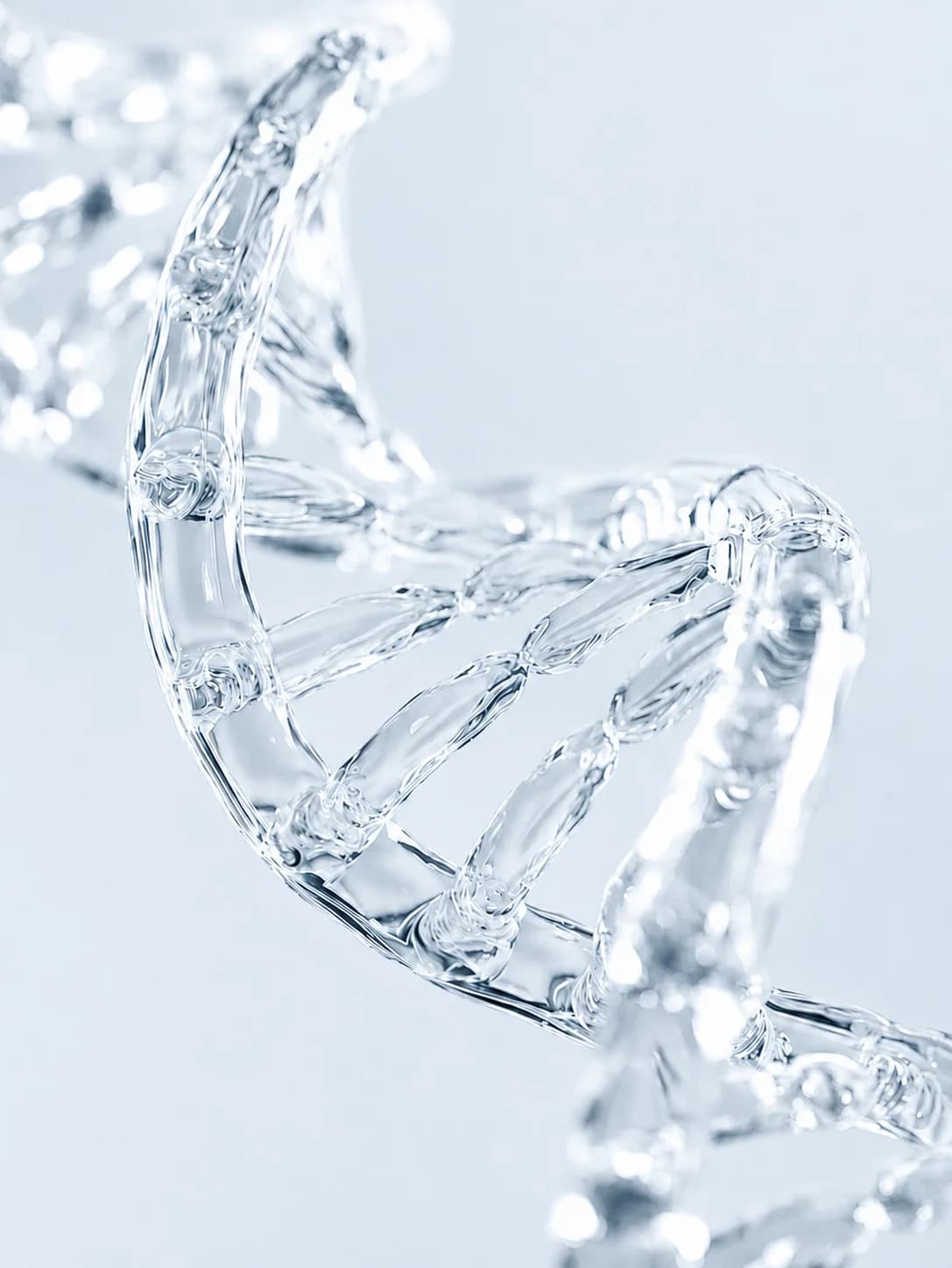 cognitive function studies